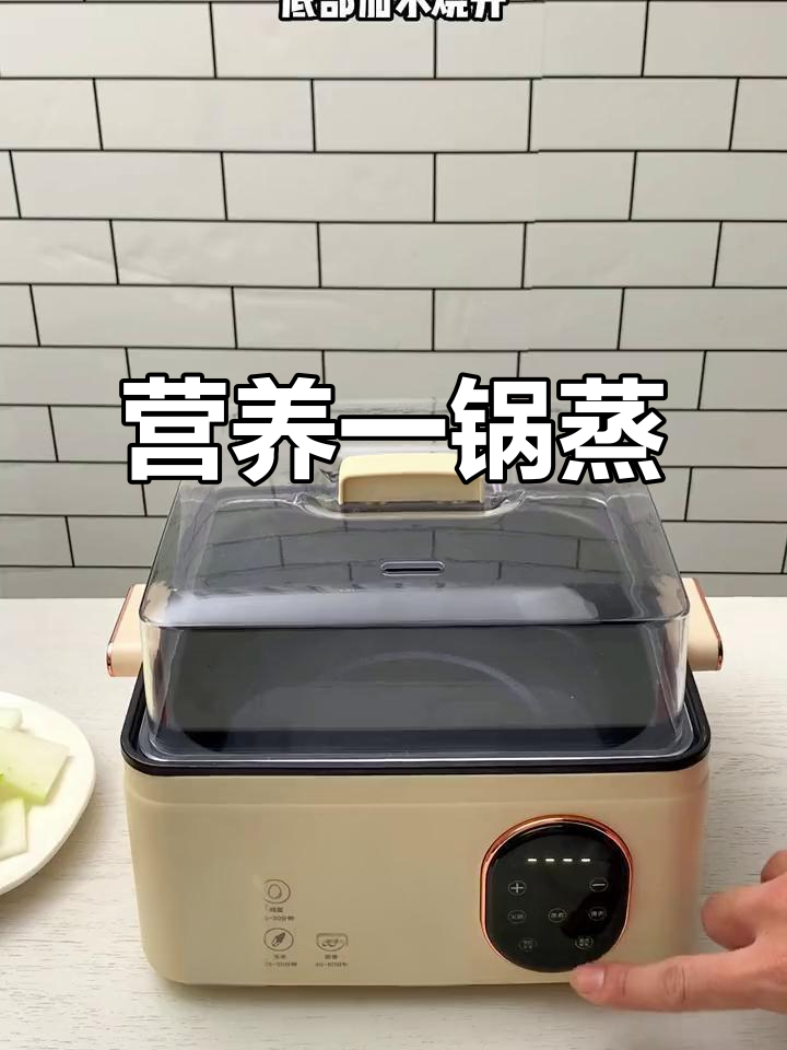 一锅蒸出营养美味,南瓜牛肉软嫩,冬瓜汤鲜美健康