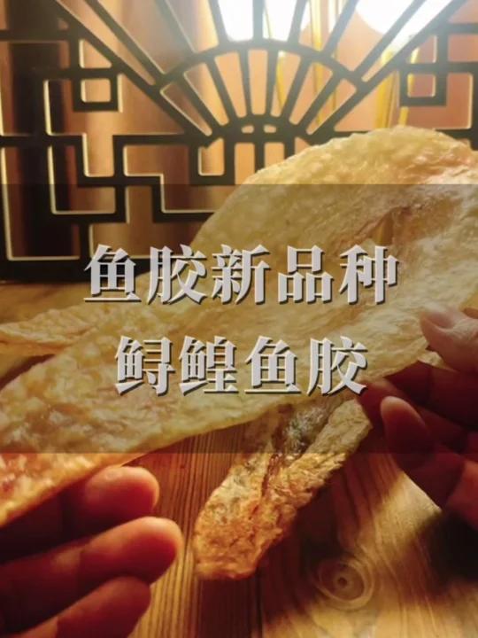 淡水鱼胶新品种鳇鱼胶