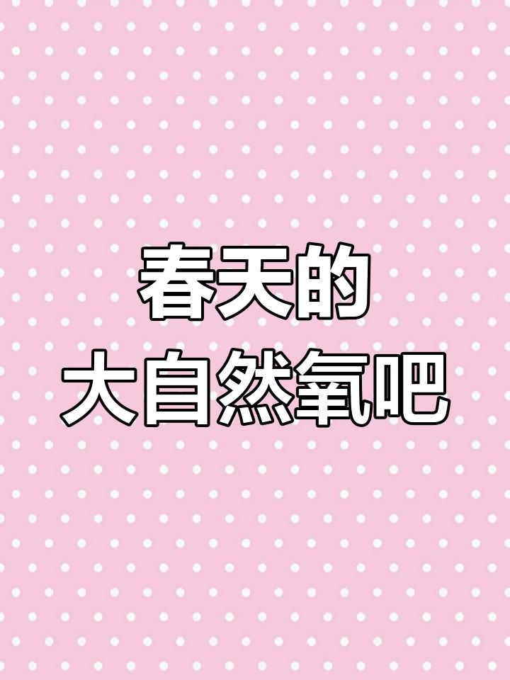 山水间的治愈之旅,春游踏青放松身心