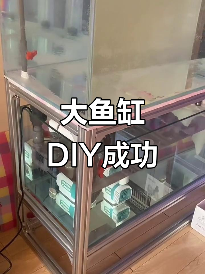 自制大鱼缸组装完成,底滤和供水系统全搞定