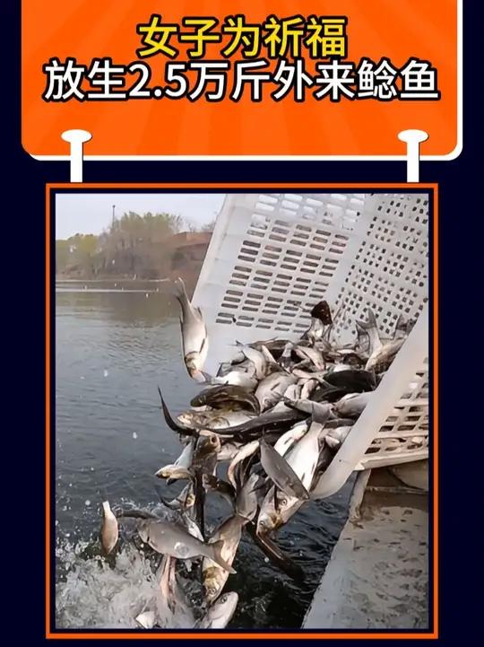 女子为祈福放生的鱼全死了 女子放生2.5万斤外来鲶鱼称为祈福,一时不知道是放生还是杀生