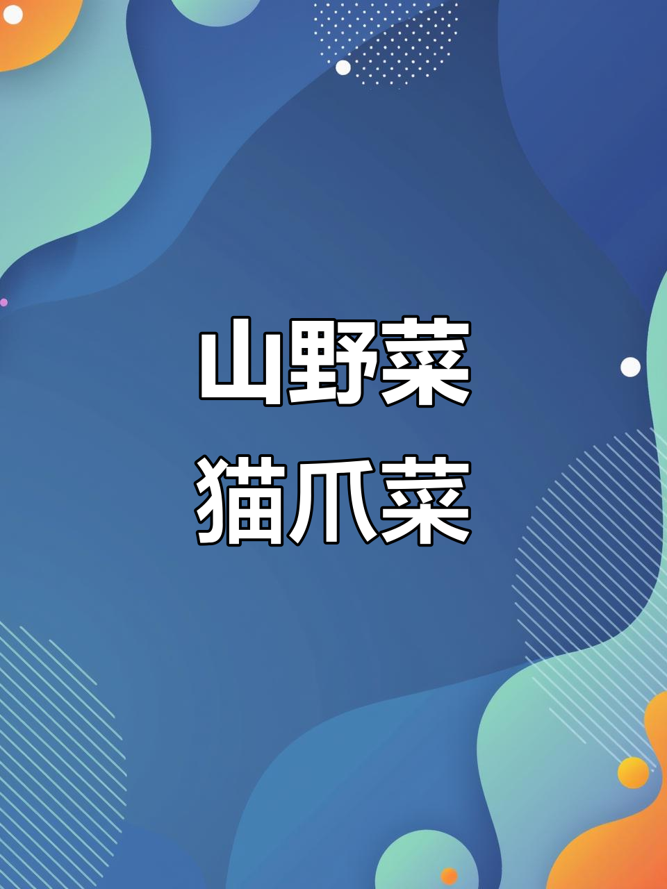 猫爪子菜,山野菜的独特美味