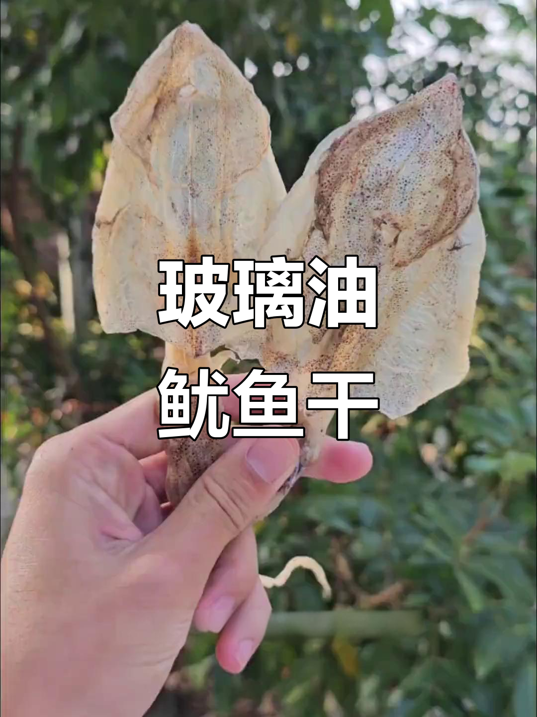 北海船晒鱿鱼干,透明新鲜美味,送礼佳选
