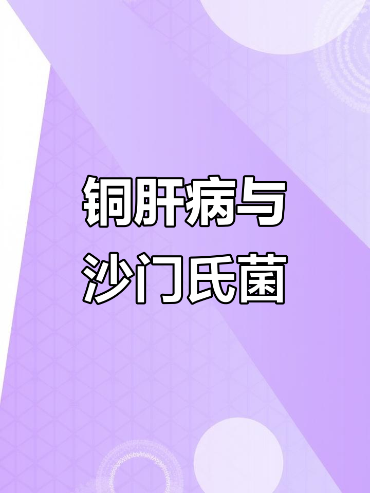 鸡得了青铜肝?沙门氏菌惹的祸!