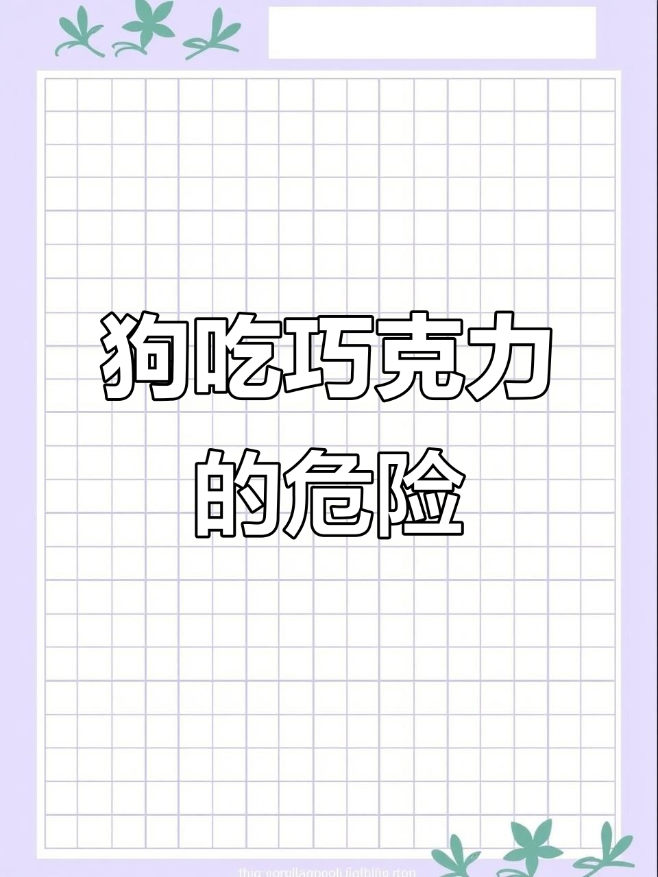 狗狗吃巧克力为何致命?了解可可碱的危害