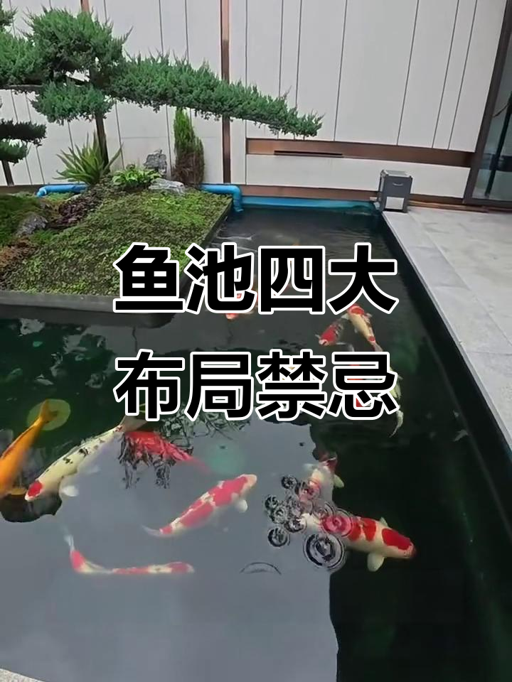 庭院鱼池设计禁忌,避免这些误区让家居更和谐