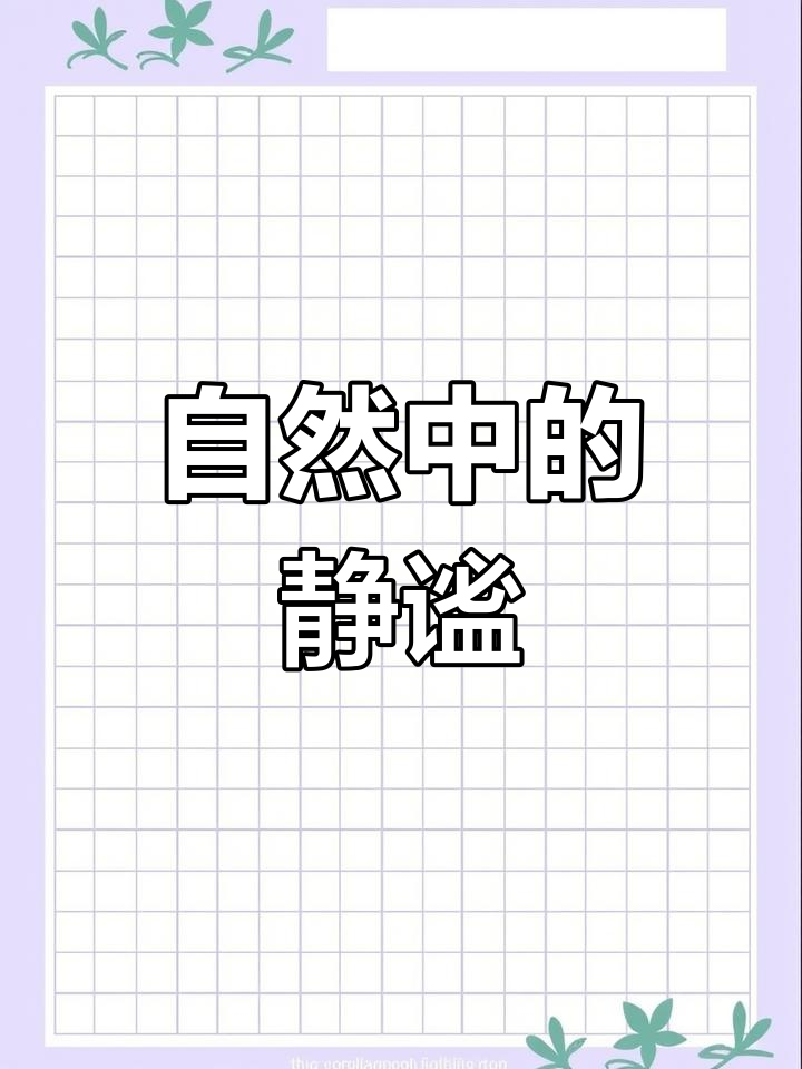 早安,汤阴!感受湿地公园的宁静与清新