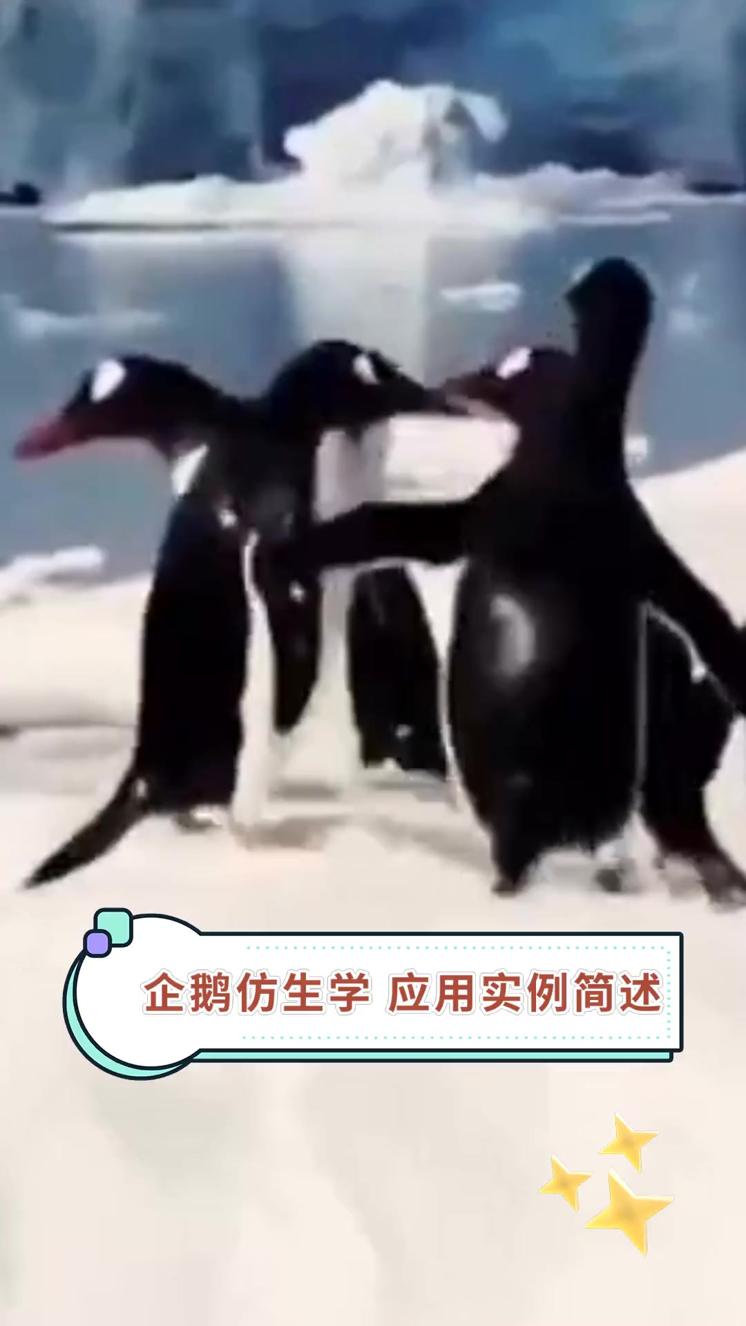 企鹅仿生学 应用实例简述
