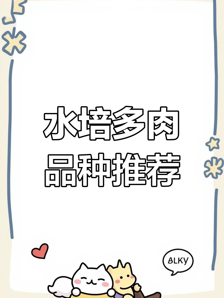 适合水培的多肉品种,轻松掌握养护技巧