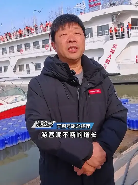 羽韵白天鹅邂逅红嘴鸥,冬日从邂逅到百分满意的升温记