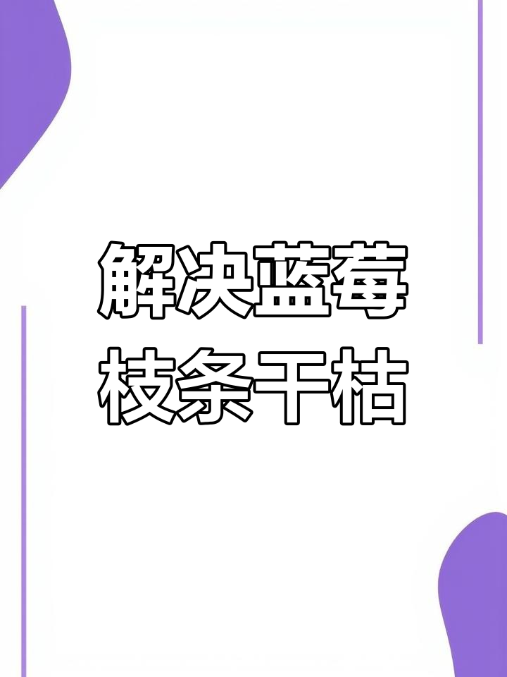 蓝莓枝干枯萎原因分析,如何应对病害