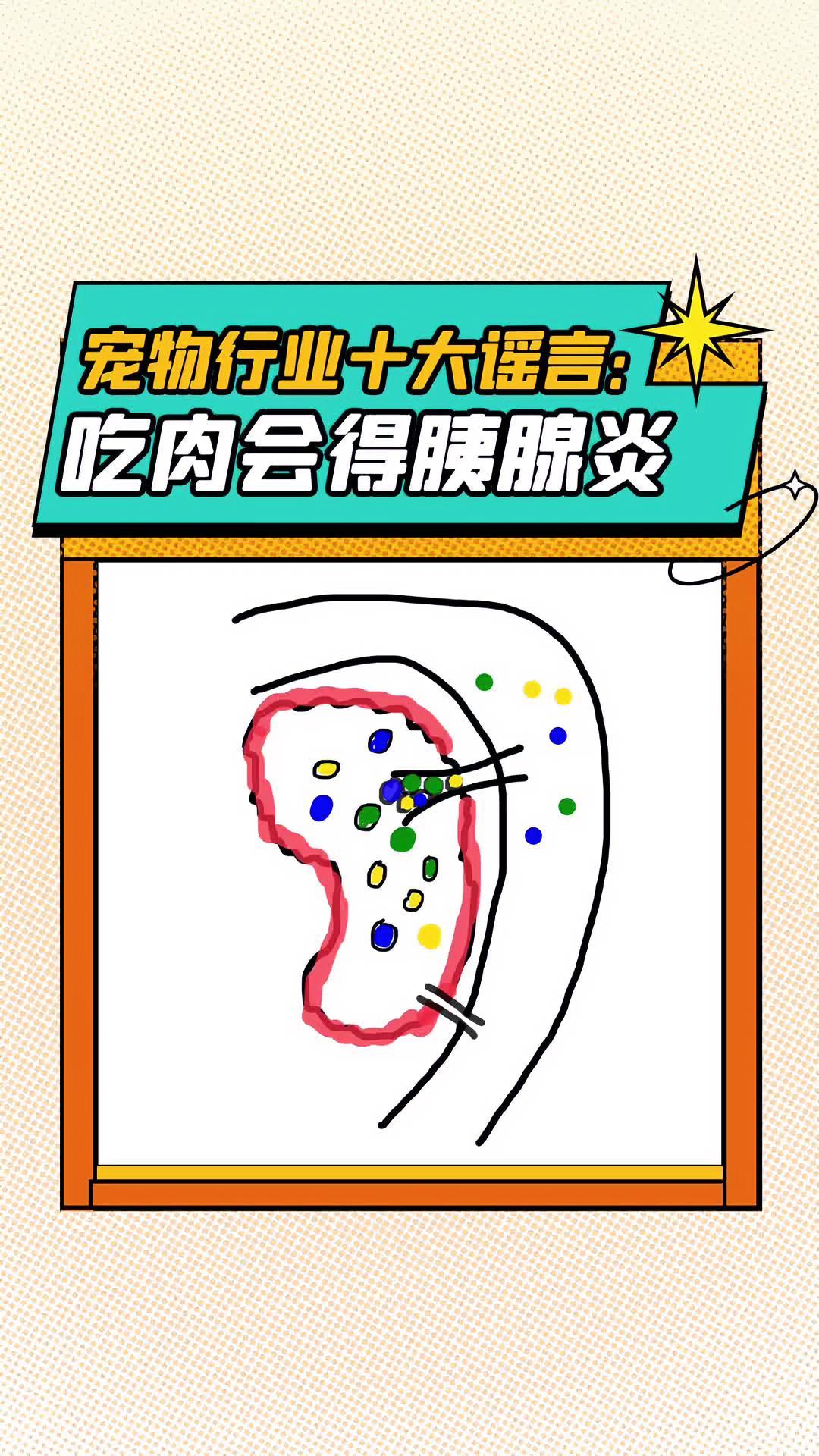 宠物行业十大谣言(七)吃肉会得胰腺炎 科学养宠攻略 宠物行业 干货分享