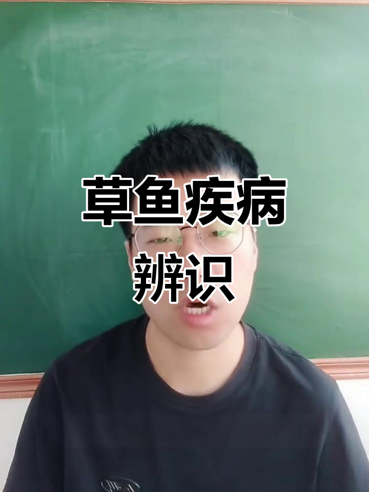 草鱼常见问题全解析,轻松辨别各种病症