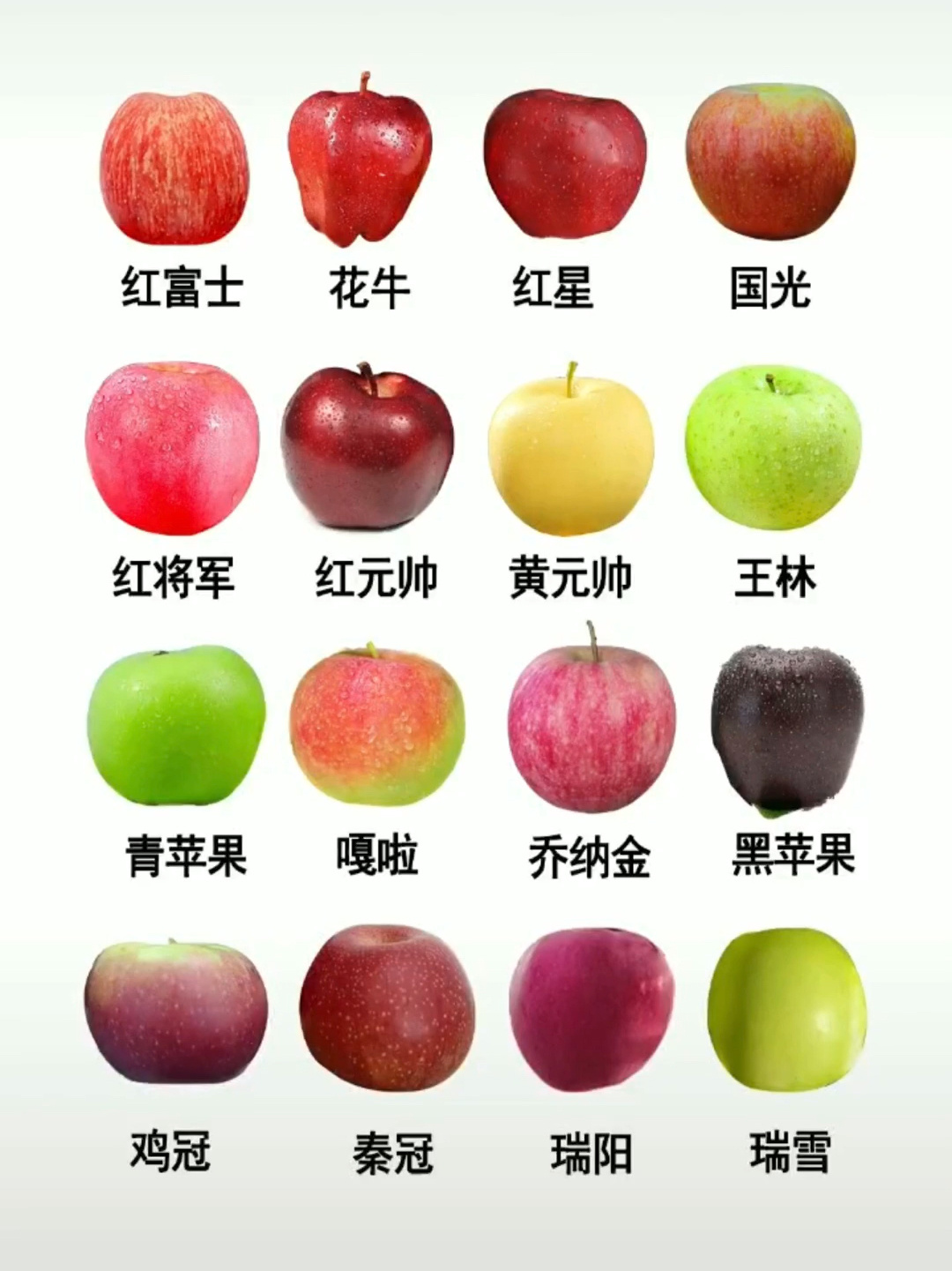 水果品种大全