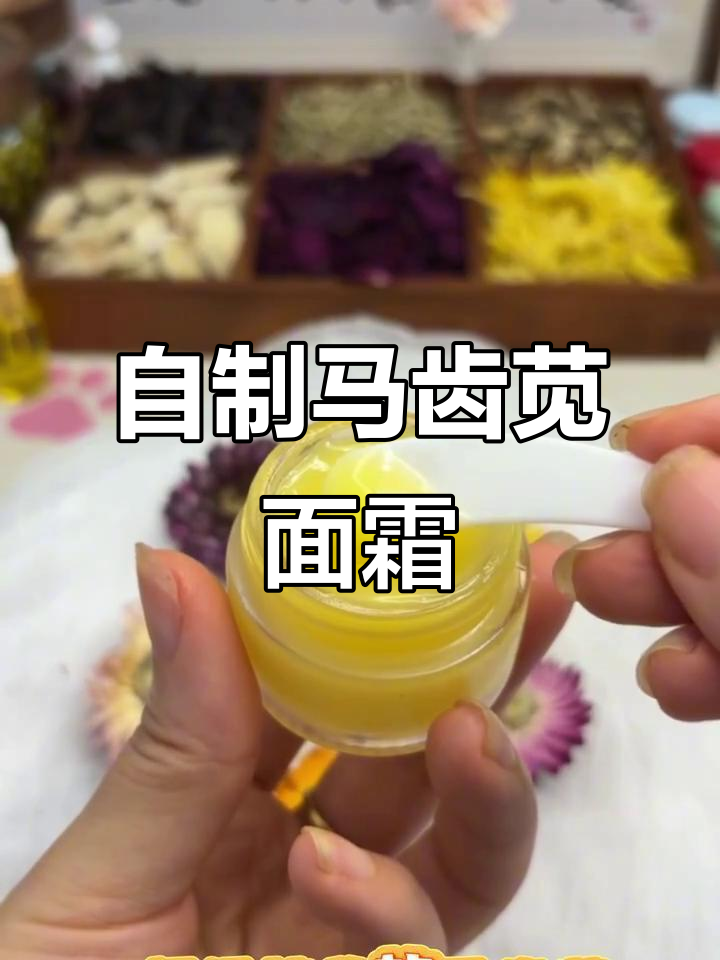 马齿苋山茶油面霜,香气扑鼻又保湿