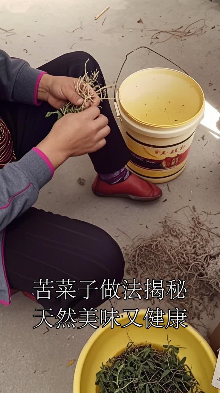 苦菜子做法揭秘天然美味又健康
