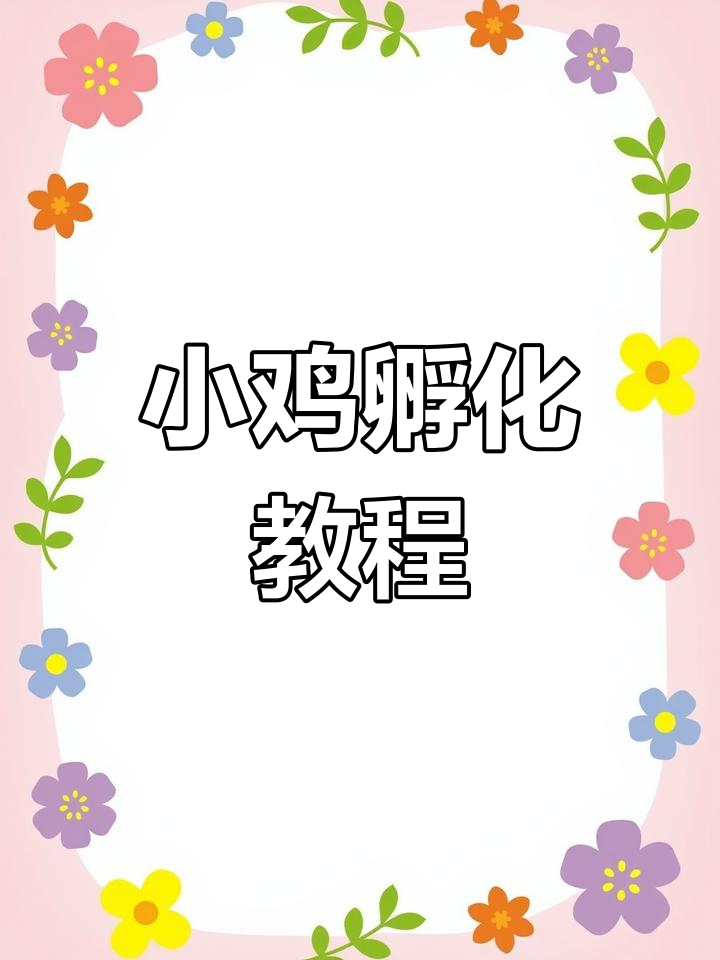 人工孵化小鸡全过程