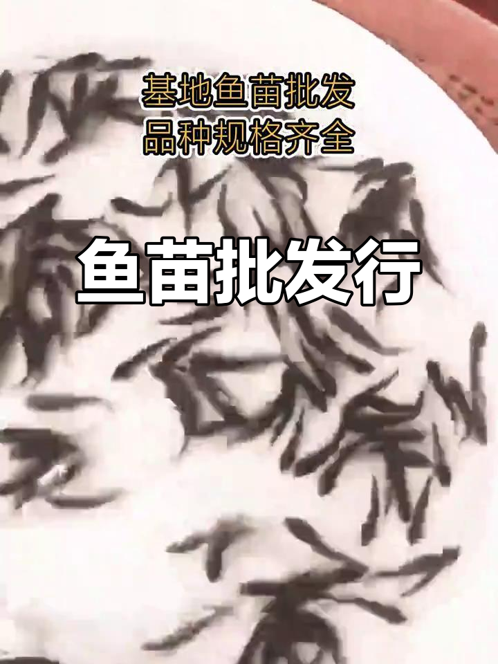 衡南鱼苗基地,多种淡水鱼类供应批发