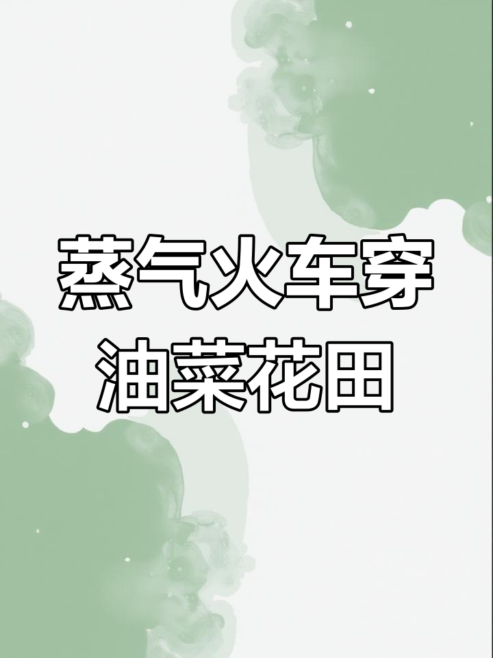 犍为嘉阳煤矿的蒸汽火车穿越油菜花田,感受历史与自然的完美结合