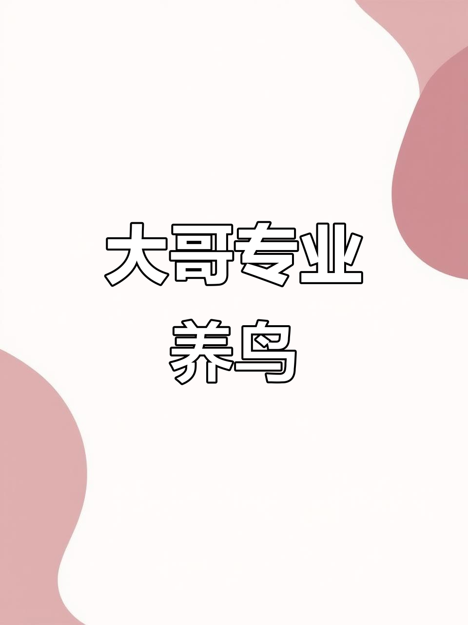 竹鸡、鹧鸪与野鸡的笼子生活,大哥的专业户日常