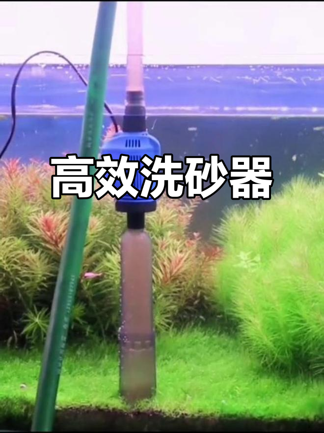鱼缸清洗神器,吸便器帮你搞定底沙和粪便