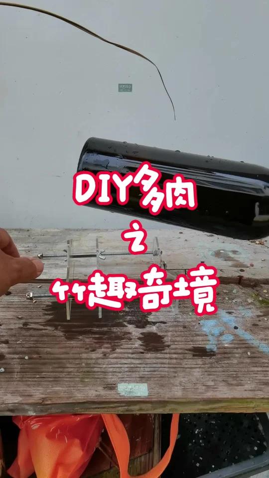 看看如何用废弃玻璃瓶和竹子,创造出独一无二的多肉花园!热胀冷缩法切割玻璃,再用竹节外壳包裹