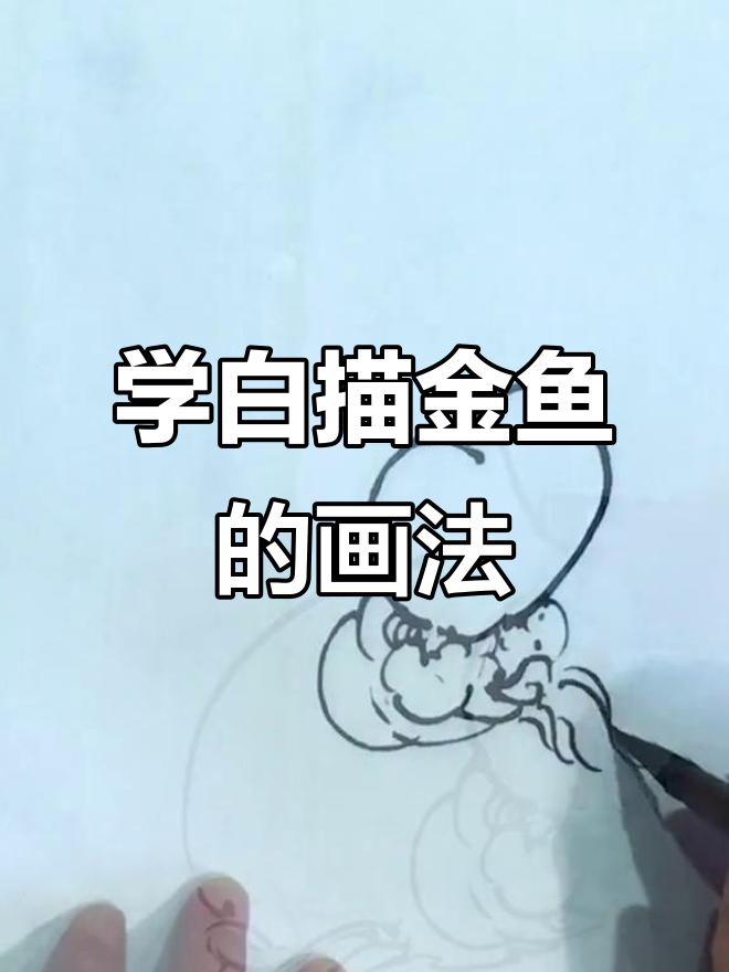 白描金鱼画法,轻松掌握国画技巧