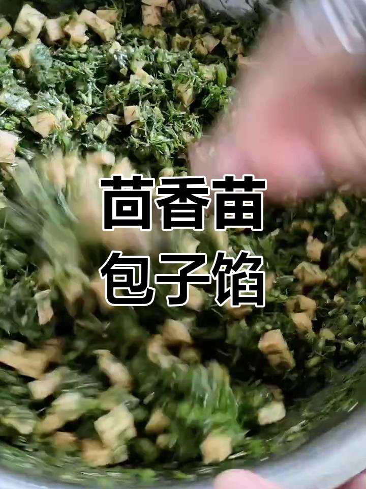 茴香苗素包子馅,简单又美味!