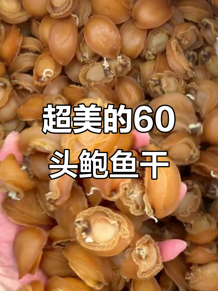 60头鲍鱼干,黑色超美舍不得吃