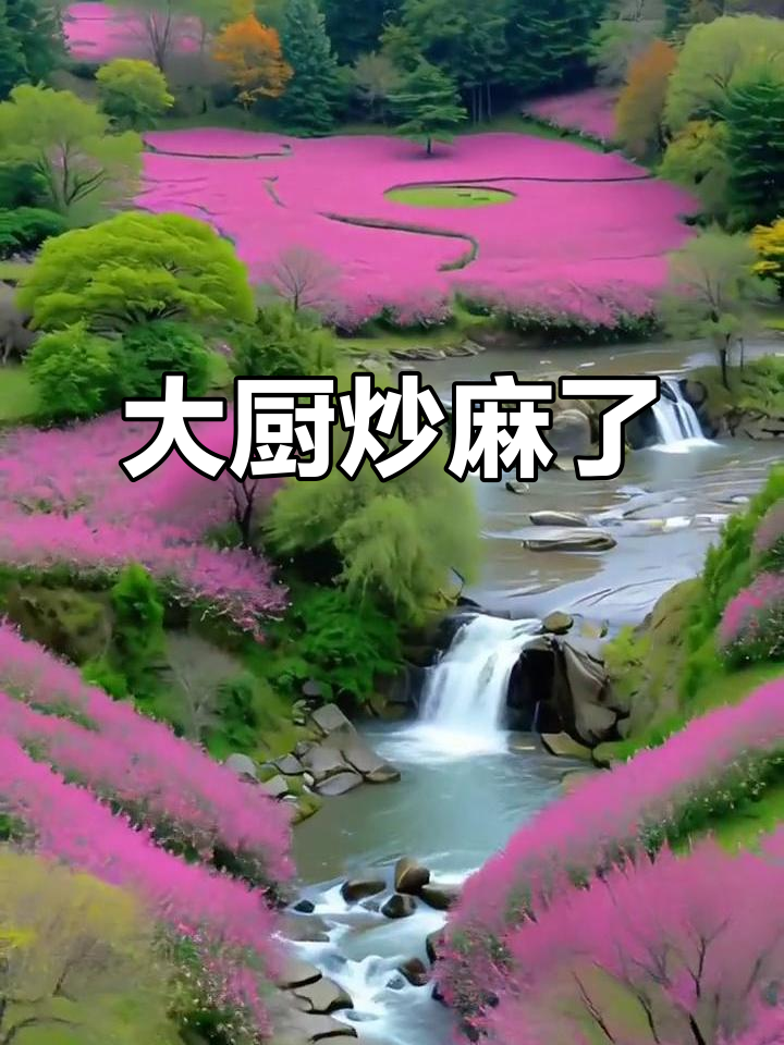 荣昌政府食堂大厨炒菜炒到手软,真实记录厨房生活