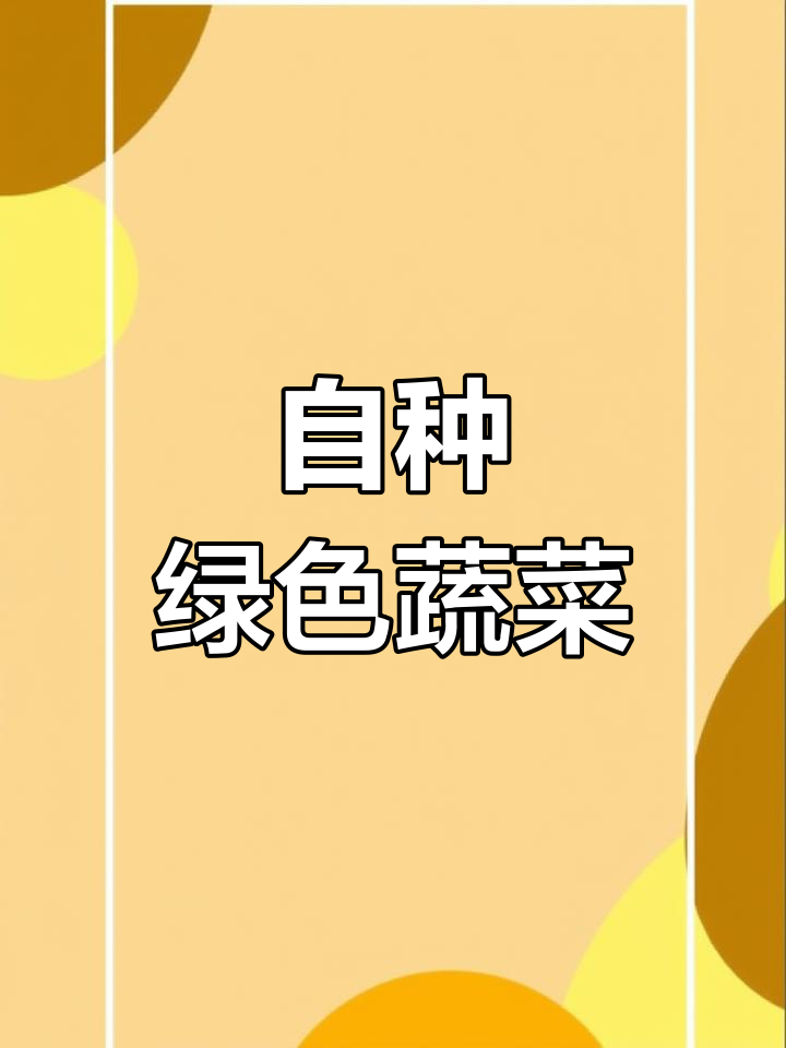 在家轻松种植有机蔬菜,告别高价超市绿叶菜!