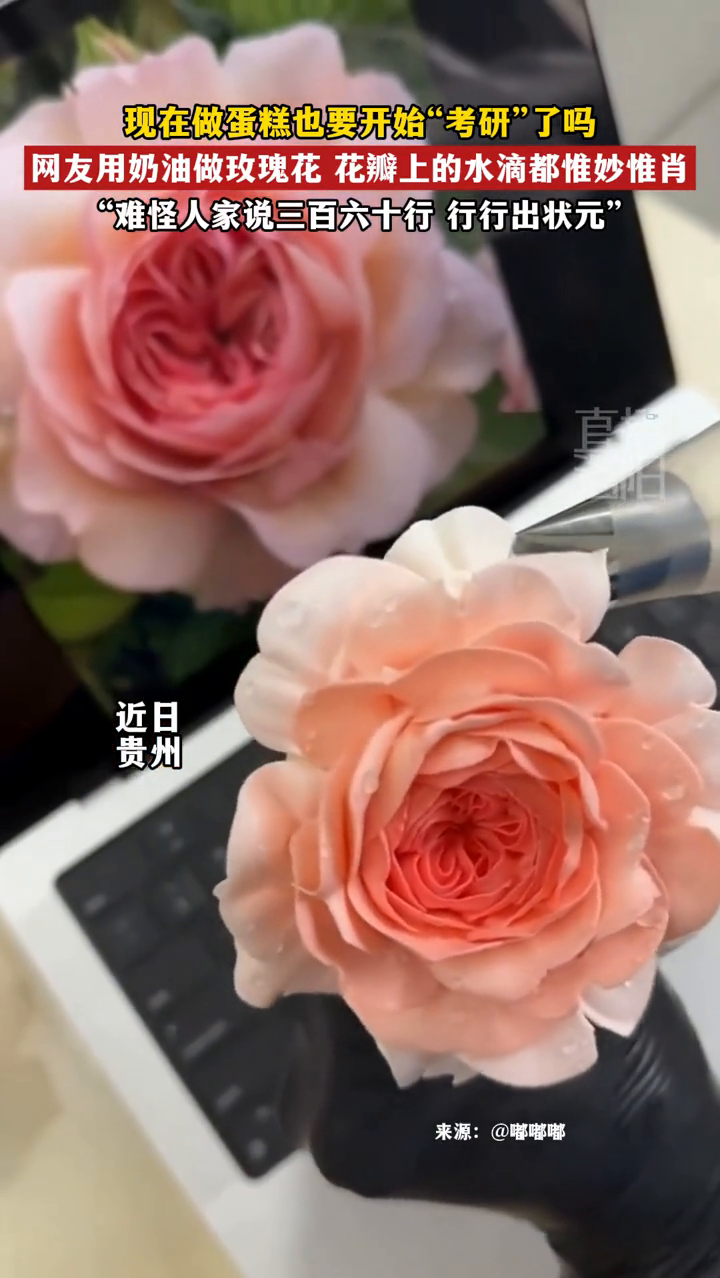 做蛋糕也要考研了?网友用奶油做玫瑰花,花瓣上的水滴都惟妙惟肖