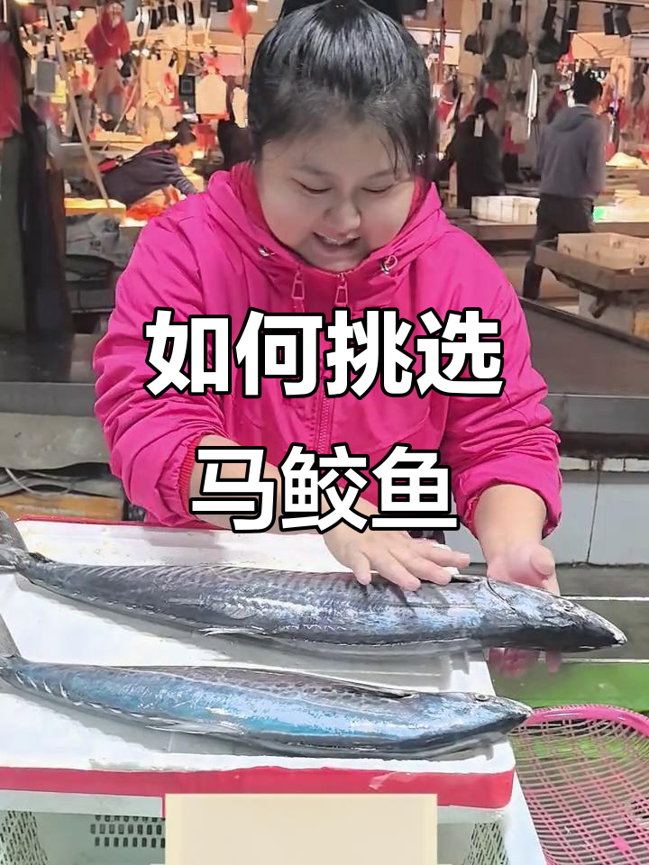 马鲛鱼怎么选?两种常见品种大揭秘