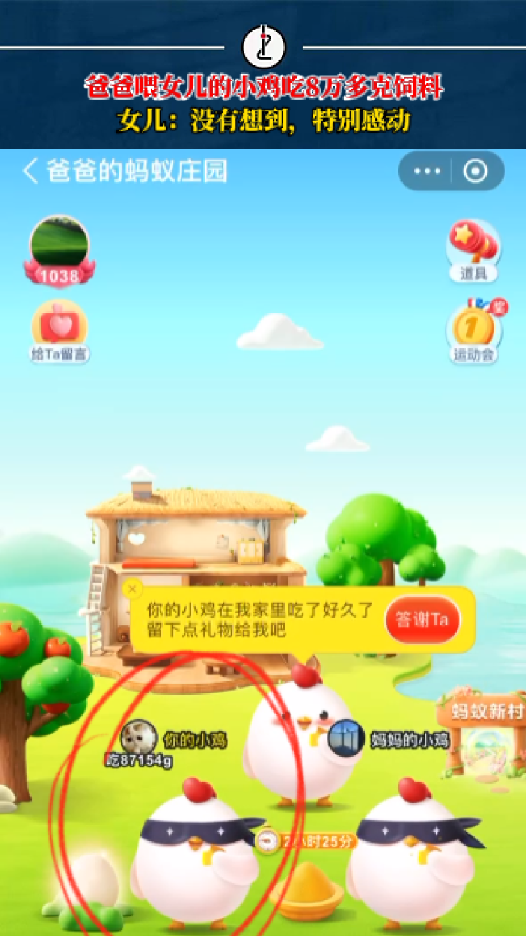 021暖闻|爸爸默默给女儿的小鸡喂了8万克饲料,女儿:十几岁开始离家求学,没想到一家三口以