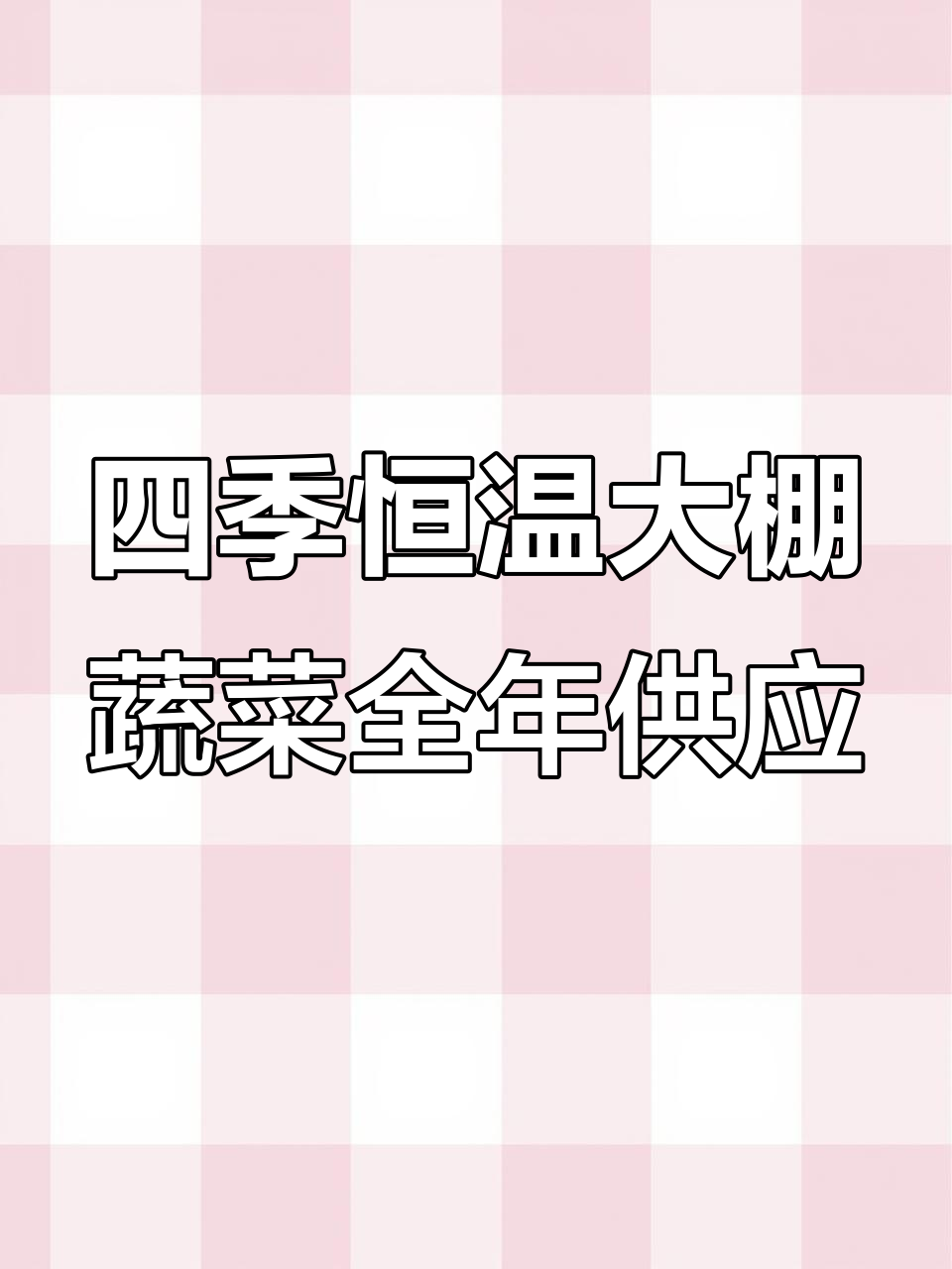 吉利顺净菜公司:四季恒温大棚助力蔬菜周年化生产