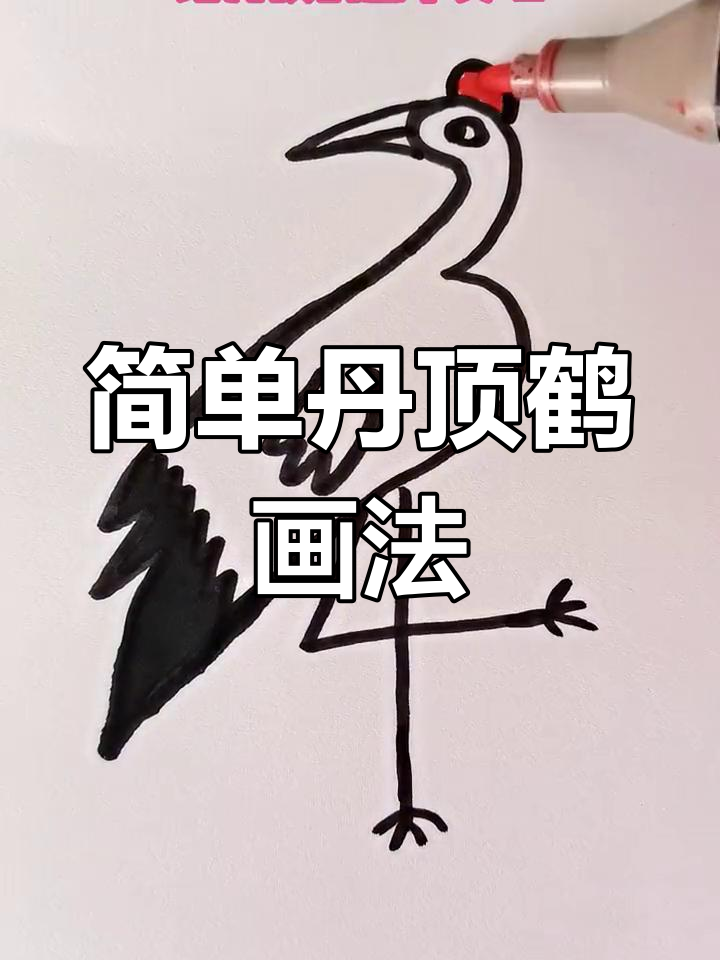 丹顶鹤简笔画,轻松学会3+4画法