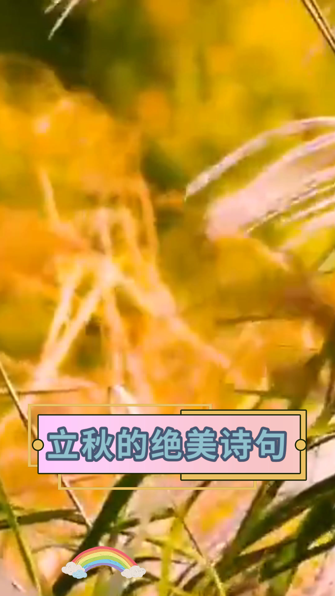 立秋的绝美诗句