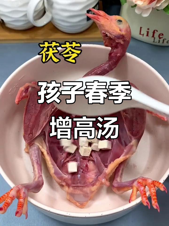 春天孩子长高必备汤,茯苓芡实鸽子汤助力成长