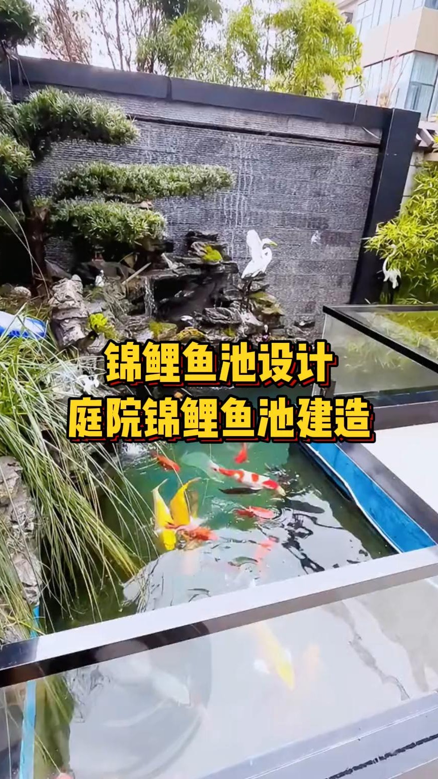 如果有一个院子,你会用来建造一个锦鲤鱼池吗?