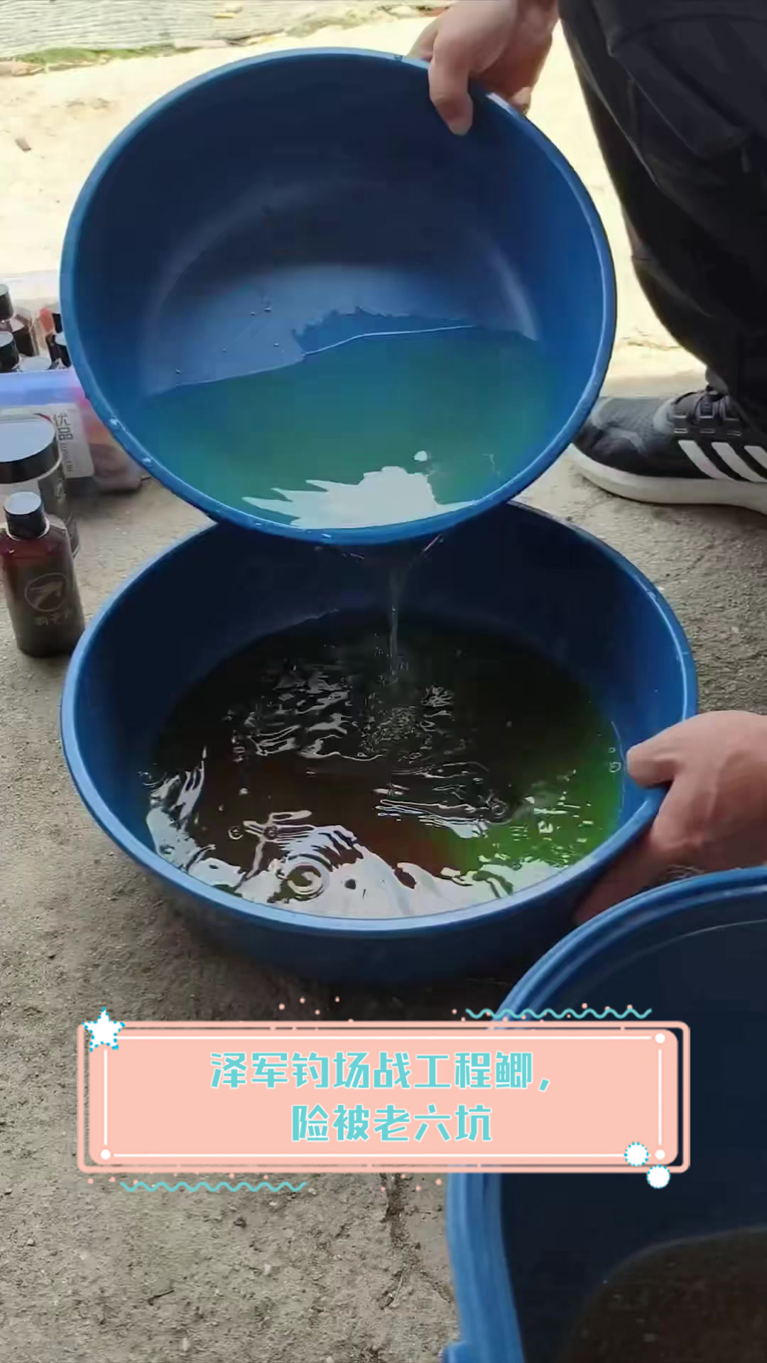 泽军钓场战工程鲫,险被老六坑