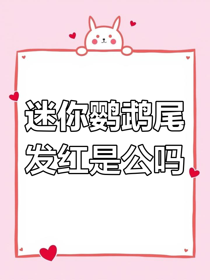 迷你鹦鹉鱼尾巴变红,公母如何区分?