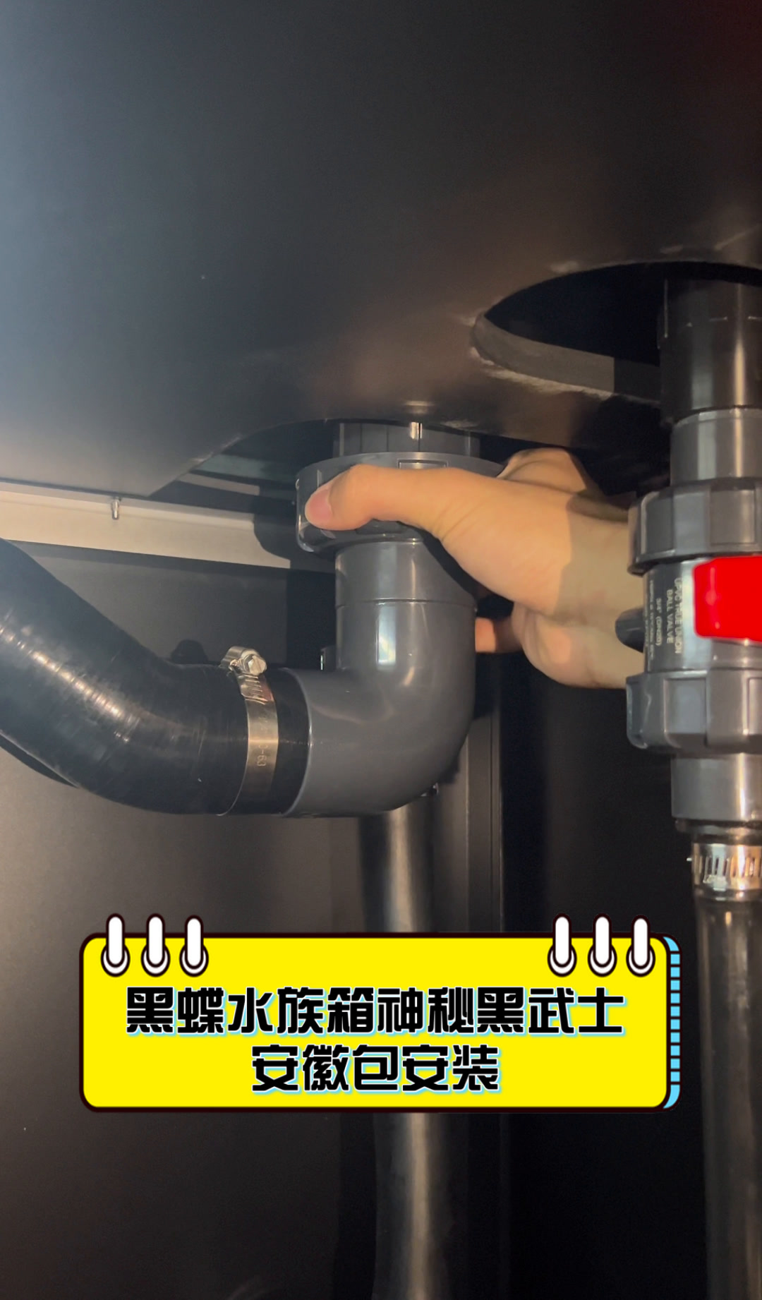 黑蝶水族箱神秘黑武士,安徽包安装