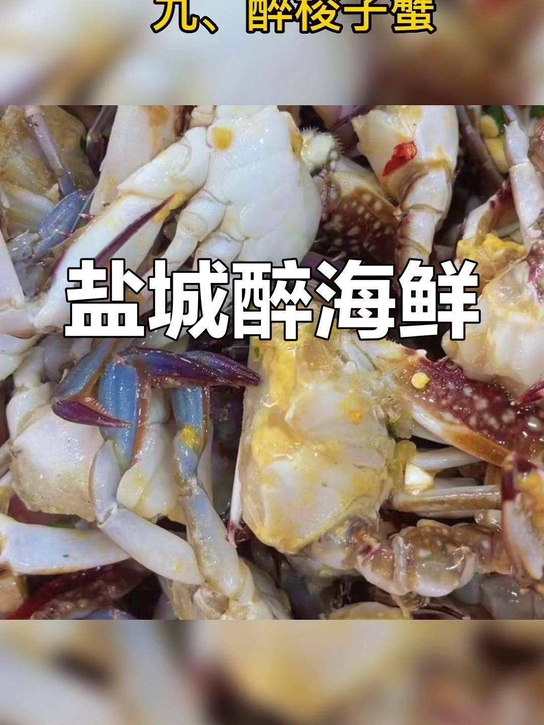 苏北常见醉海虾种类