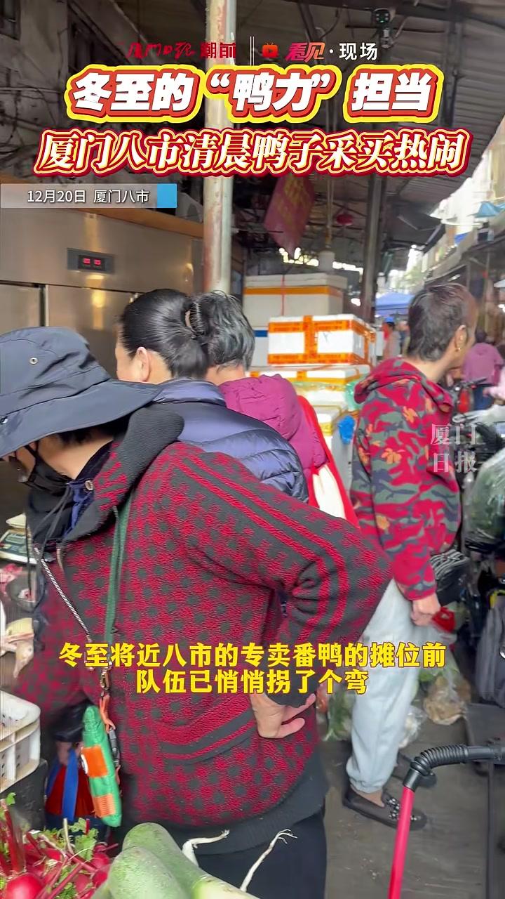 冬至的“鸭力”担当厦门八市清晨采买热#厦门#姜母鸭#冬至