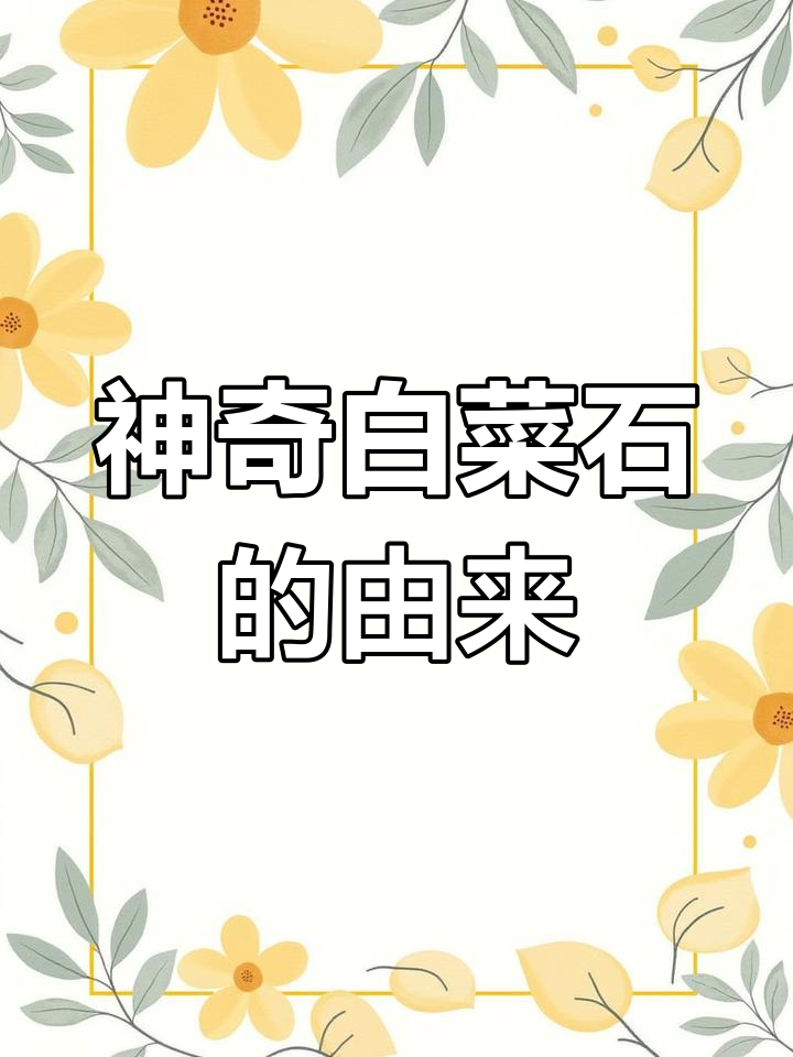 贵州神秘白菜石,亿万年前海底巨变揭秘