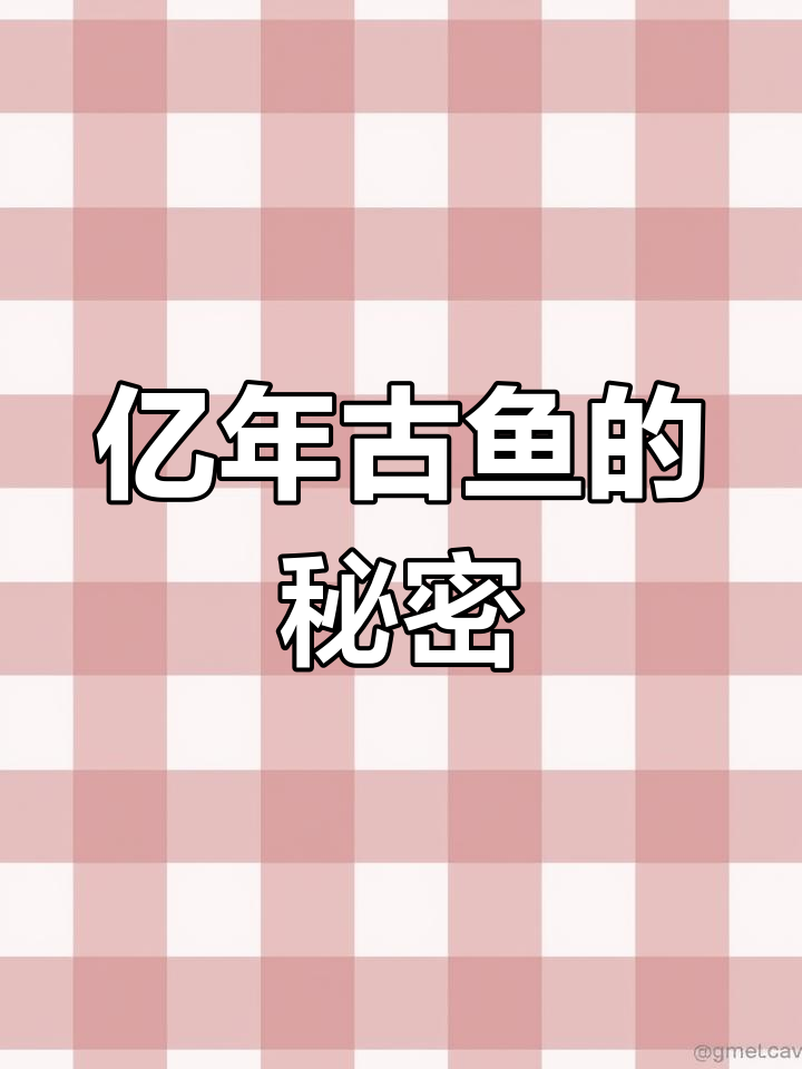 你见过亿年前的鱼化石吗?鳞片清晰,仿佛刚从水里游出