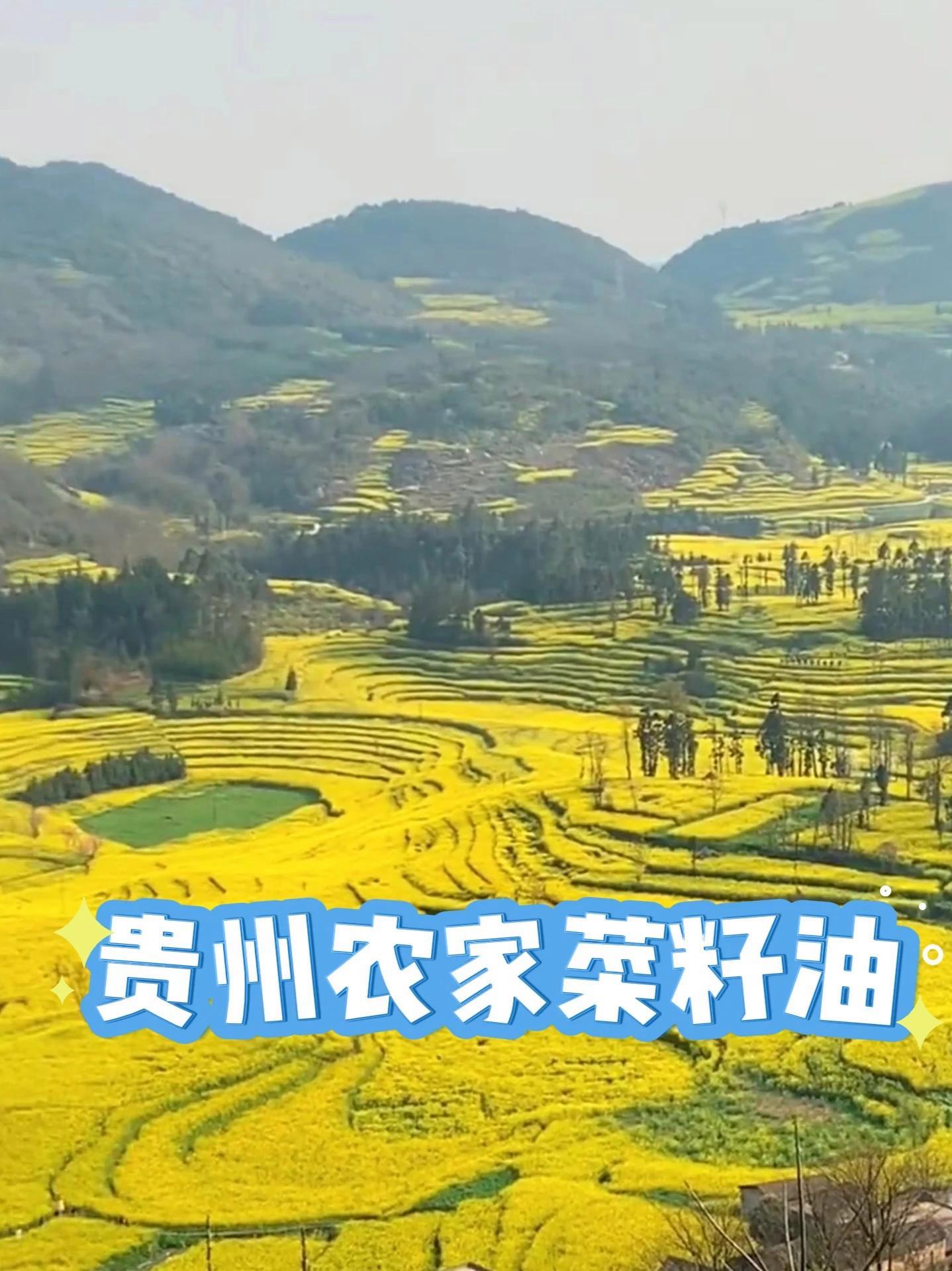 贵州纯菜籽油9.2斤农家传统物理压榨小榨食用油炒菜粮油浓香香浓