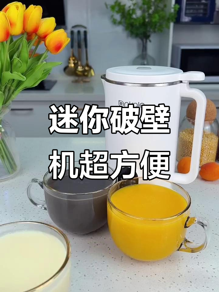 小型破壁机更实用,三分钟搞定火龙果奶昔和黑芝麻糊