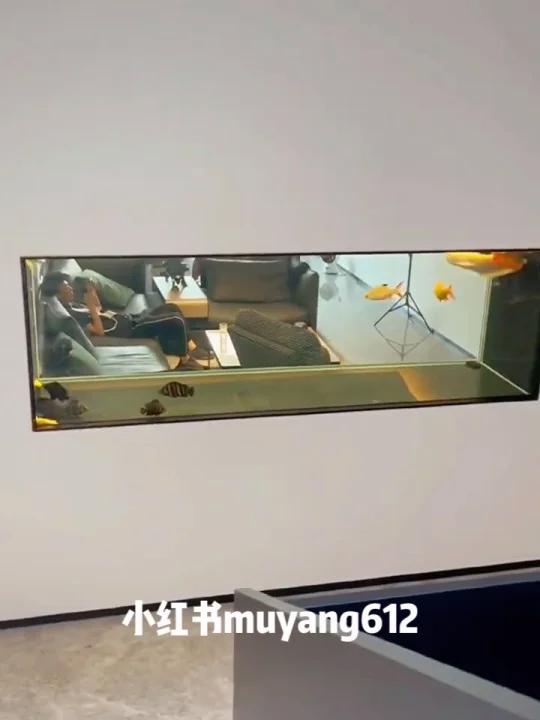 楼梯鱼缸 入墙式鱼缸隔断设计 嵌入式鱼缸