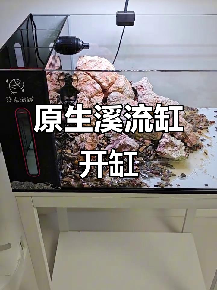 60侧滤溪流缸造景教程,打造原生吸流井